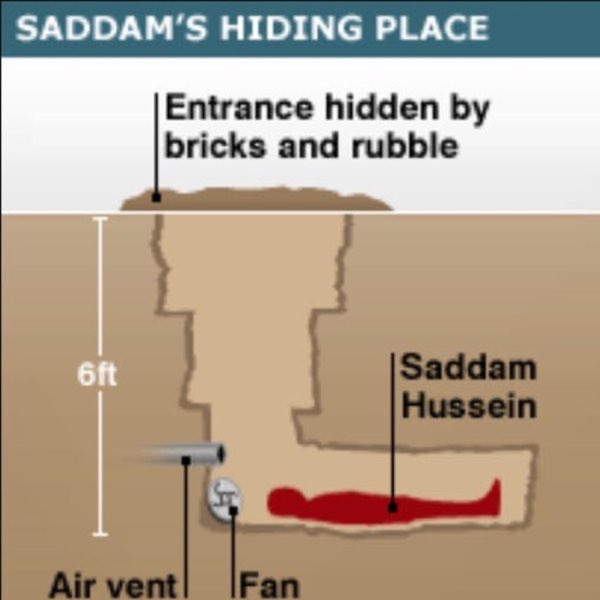 wammuto's tweet image. 