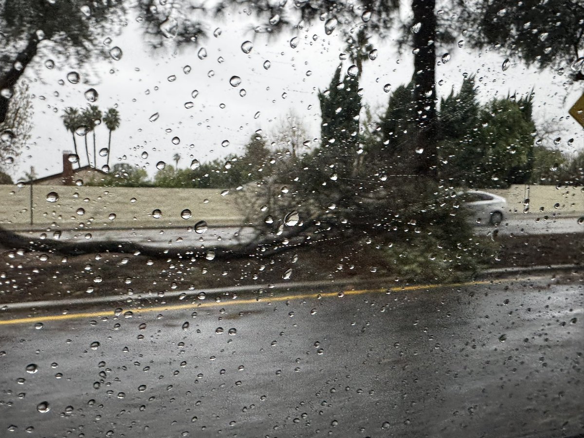 achurricane_'s tweet photo. @NWSLosAngeles Did see this decent sized downed tree limb… otherwise it’s really just been strewn branches and smaller debris for me here in Thousand Oaks. https://t.co/wrrrTNNasd