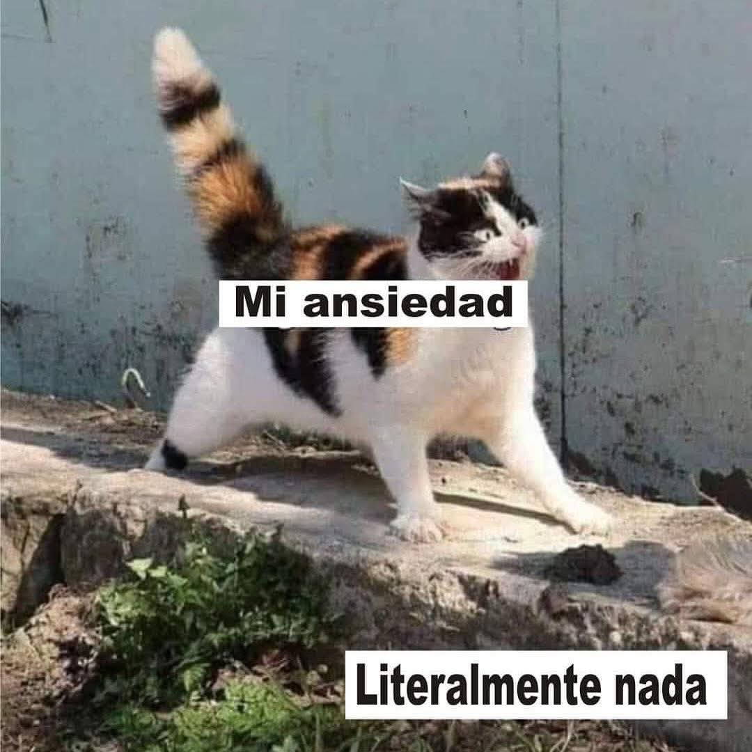 Animalesaprieto's tweet image. 