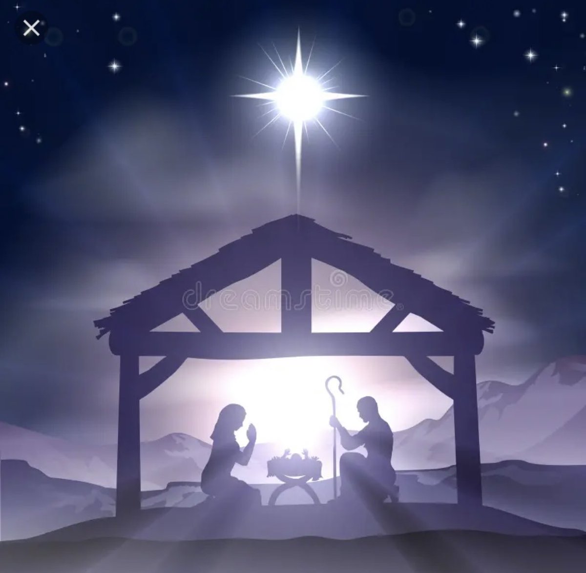 Mark Freeman tweet media