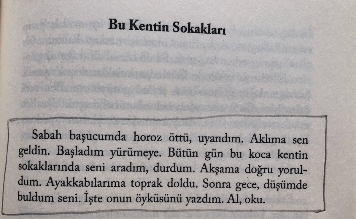 Nisan Erdem tweet media