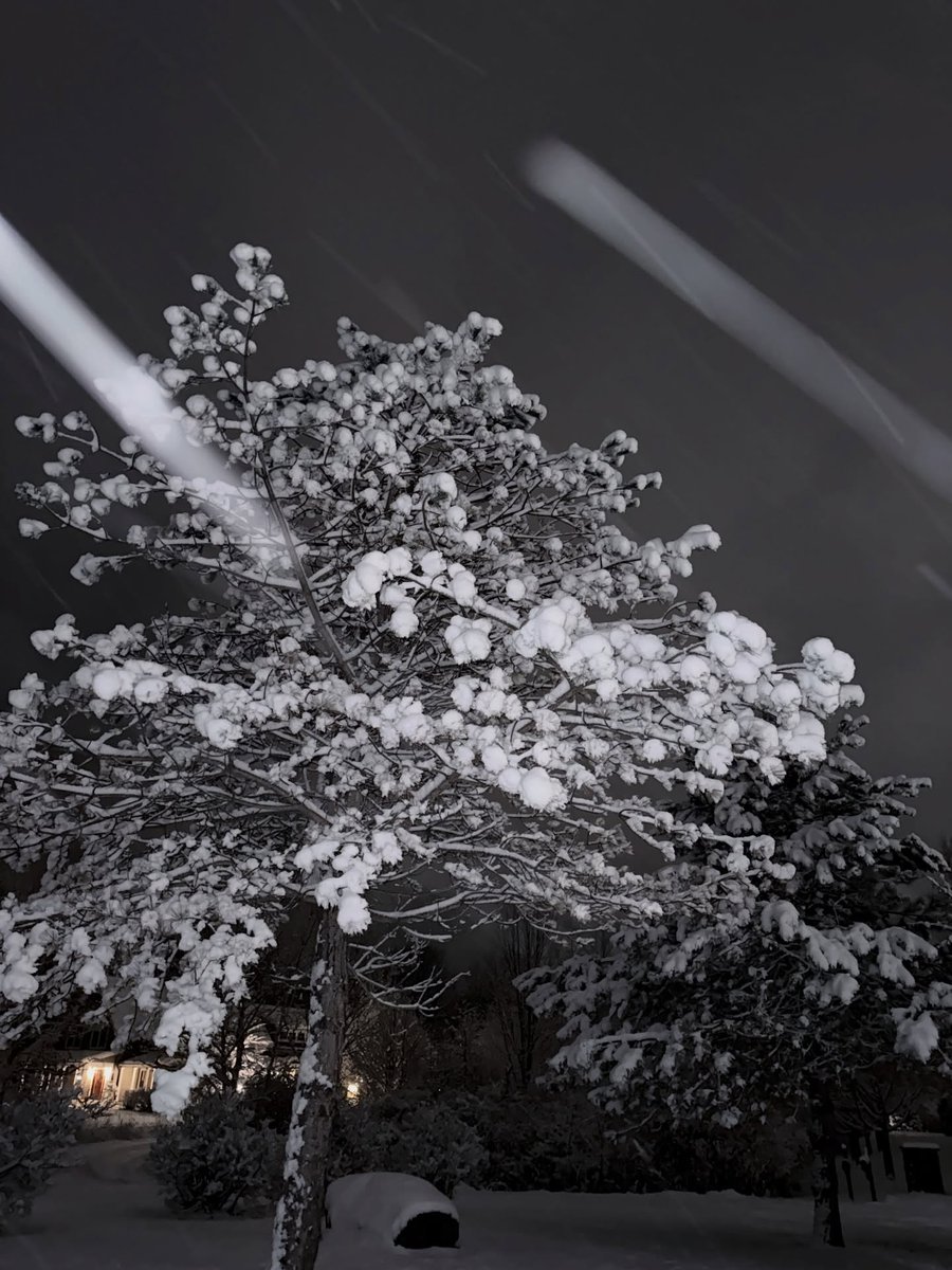 Slow Magic tweet media