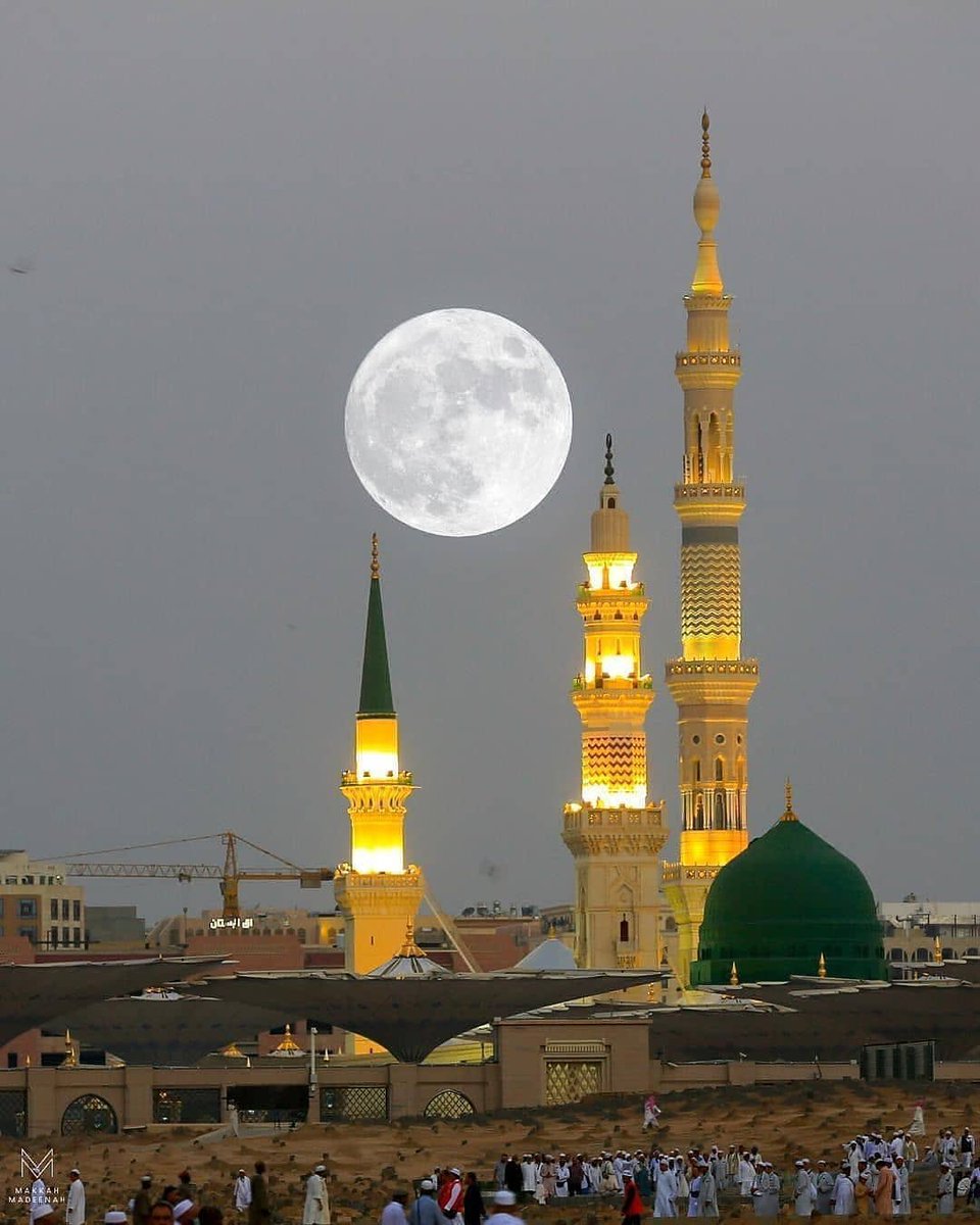 Regaip, istemek demektir.

ahlaklı eş + helal kazanç + bereketli ömür + aklı selim dostlar + kibirden arınmış kalp + güzel ölüm + göz aydınlığı evlatlar.. nasip et rabbim.