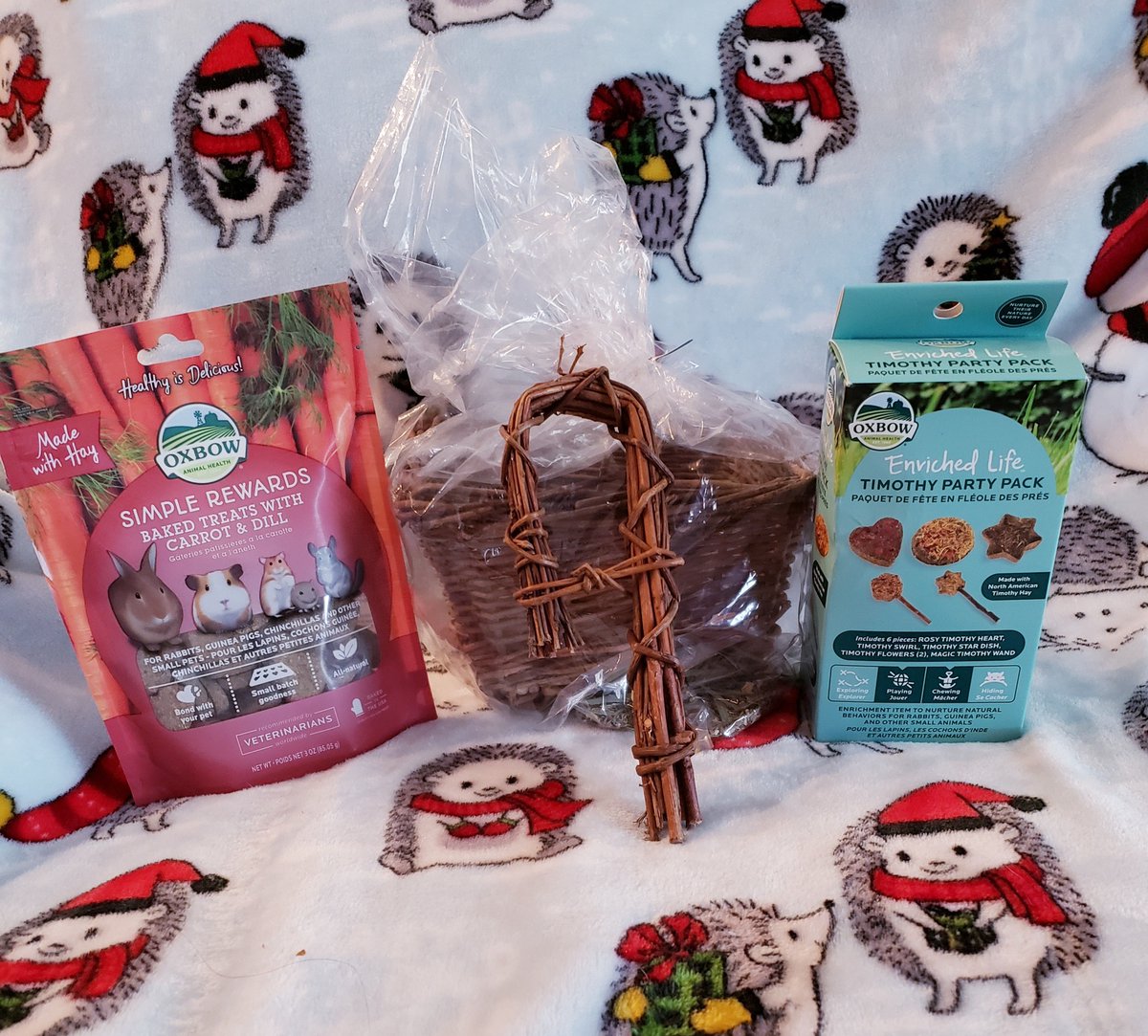 ttas's tweet image. Thank you so much to Nancy Dorrien for the super fun Christmas gifts for Shelby! She loves having you as her sponsor mom! Thank you so much for always spoiling her and letting her know how loved she is. Merry Christmas!