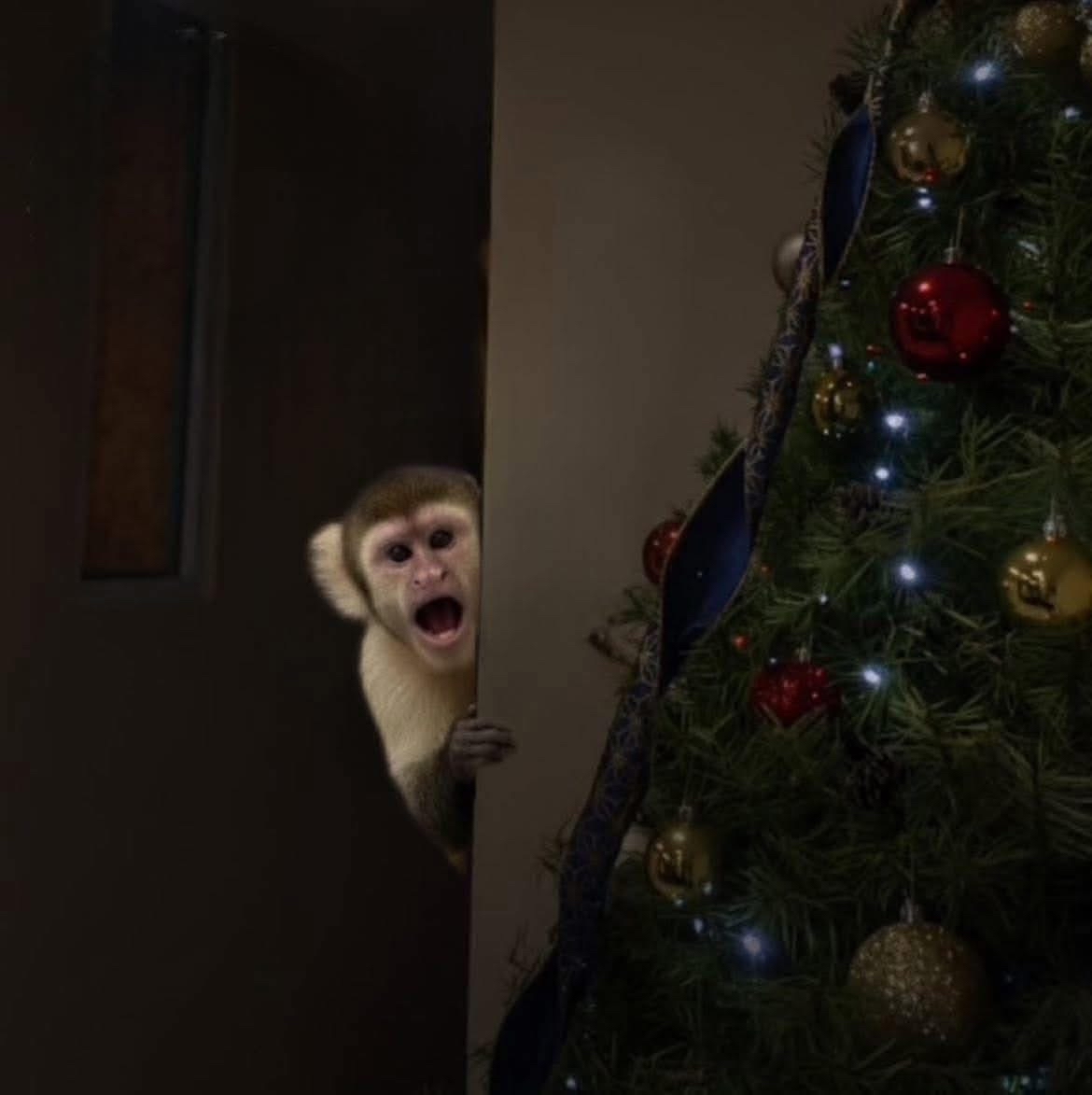 Yo a mis 30 años dandome cuenta que mi mamá es Santa Claus.