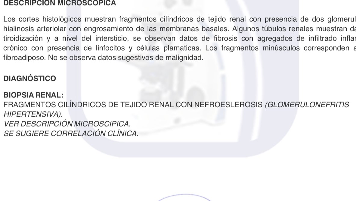 MEDzquino tweet media