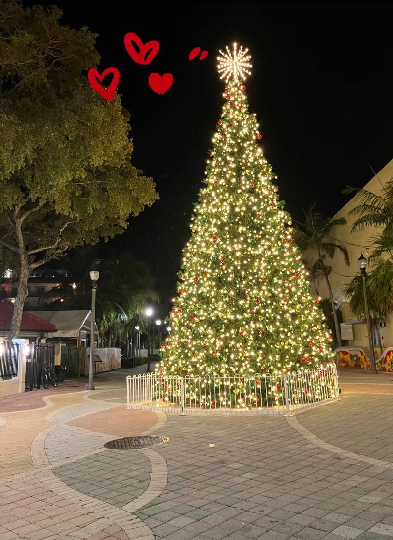 visionvale's tweet image. The season is almost here, let forgiveness arrive before the first snowflake does.