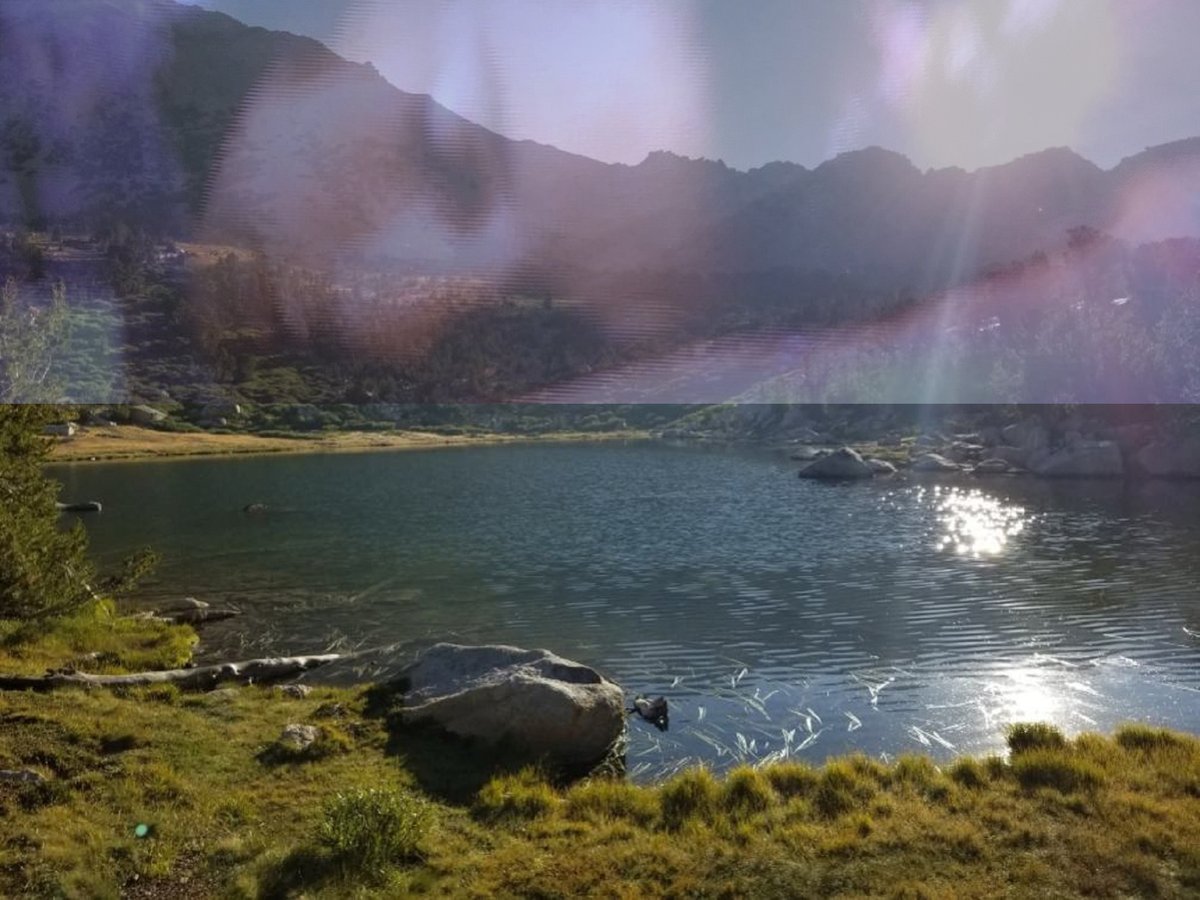 katjainstitute.bandcamp.com/album/et-jus-in
thealexjonesstore.com/products/alex-…