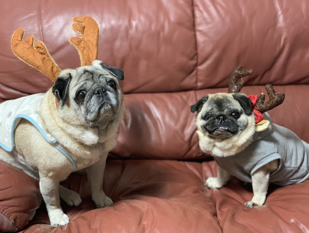 🎄Merry Christmas❣️✨

サンタさんのが来るのを待ってますよ〜