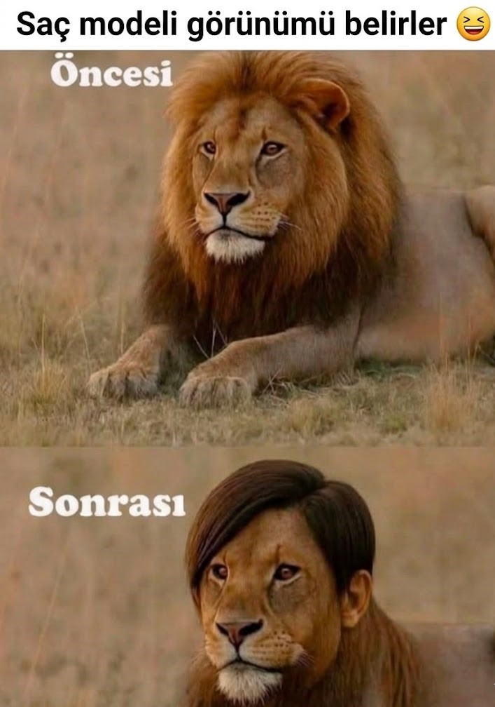 SunTurGer's tweet image. 