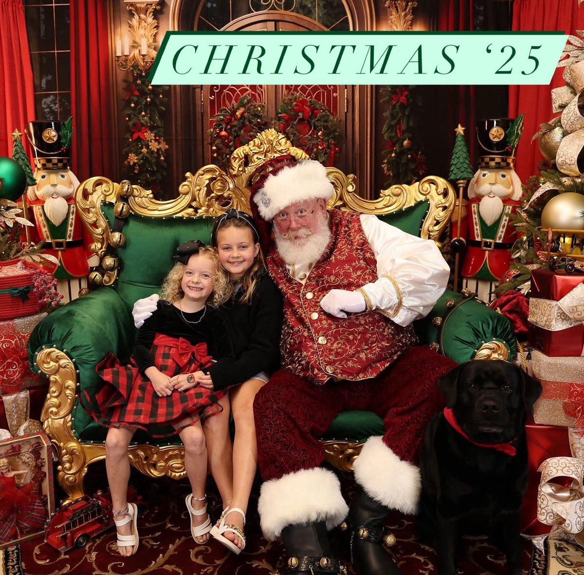 Jeff Ulmer tweet media