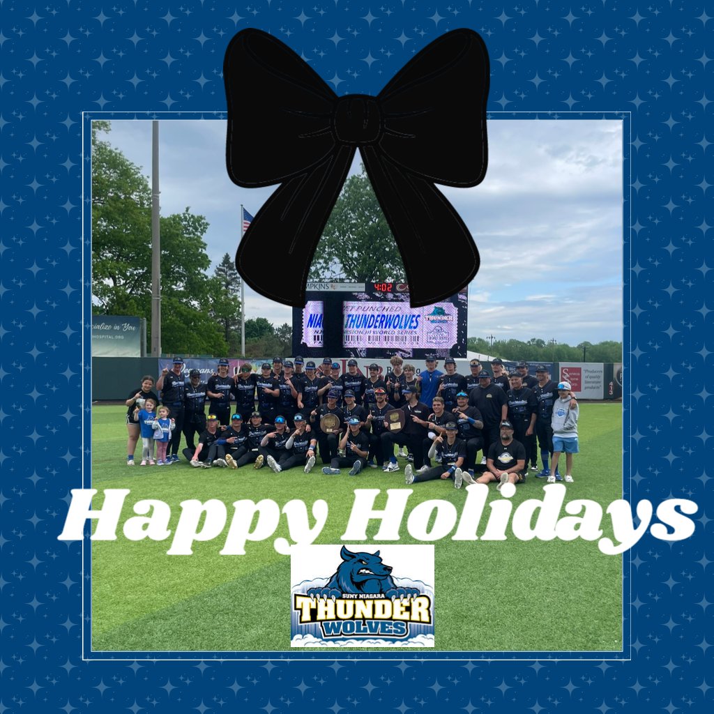 SUNY NIAGARA BASEBALL tweet media