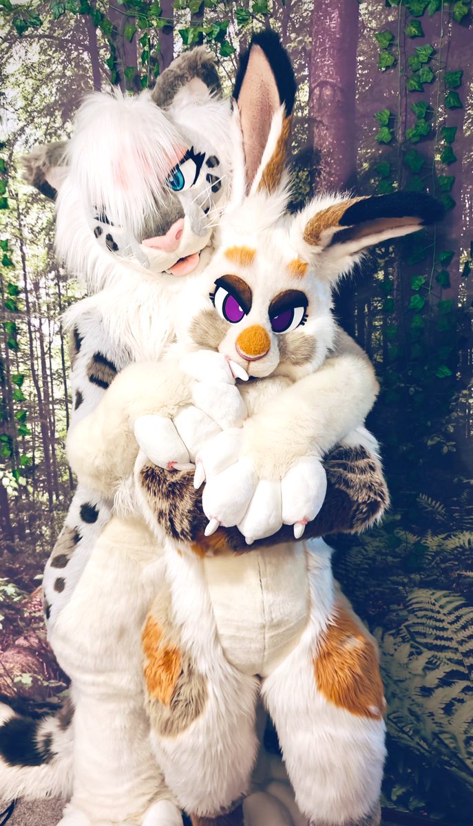 ❄️ Chion Kitty 🌸 tweet media