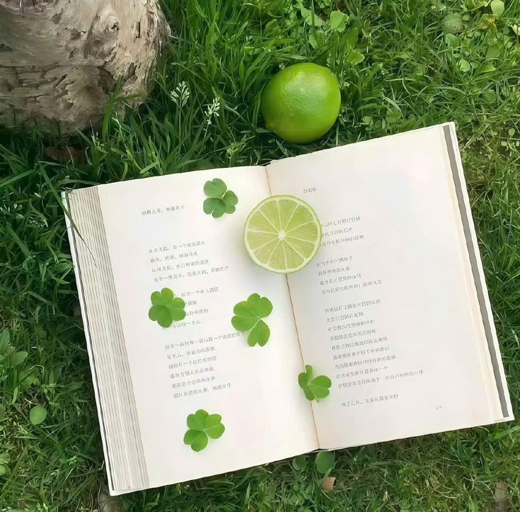 greenvibe's tweet image. 