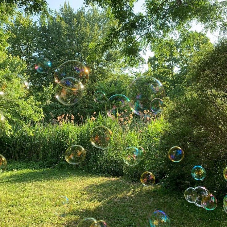 greenvibe's tweet image. 