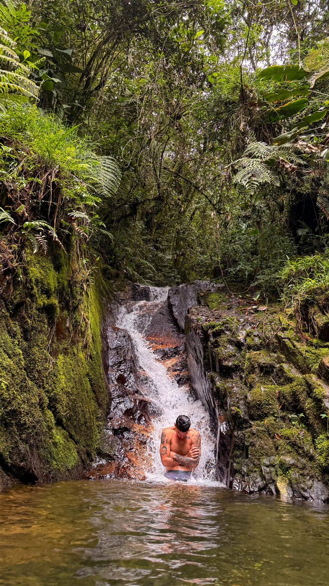 James Rodríguez tweet media