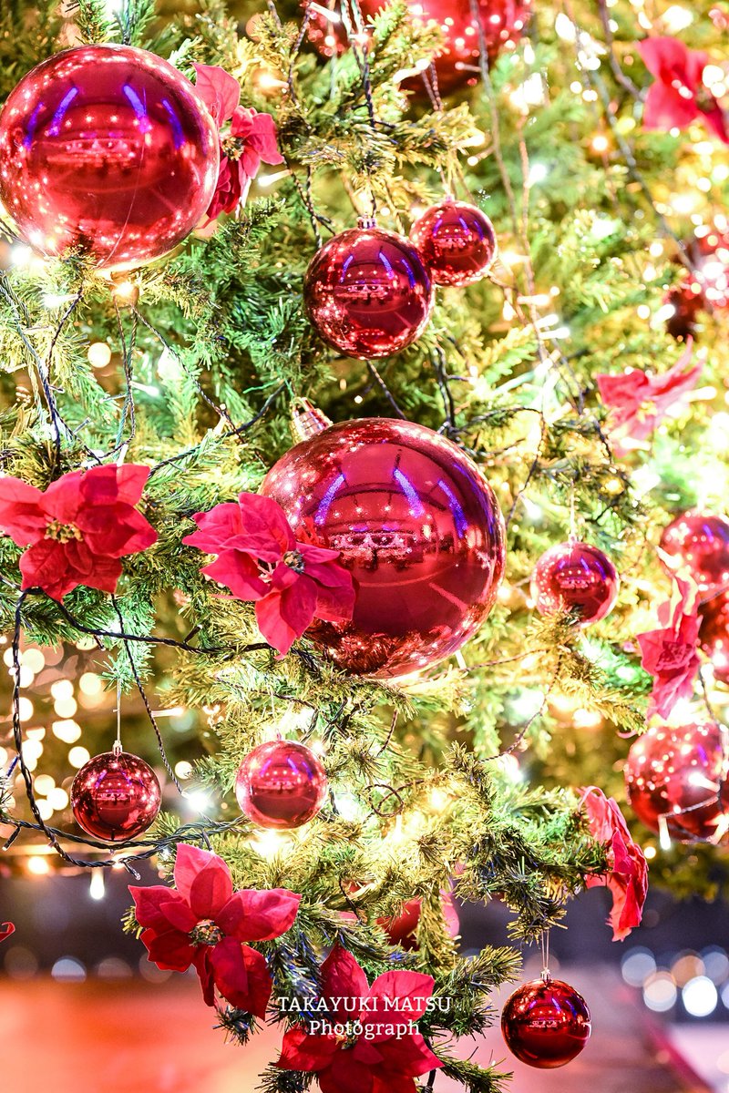 🐰𝚁𝚒𝚗𝚛𝚒𝚗…📸♥️𓂃ꕤ︎︎·͜· (@7725rirarin) / Posts / X