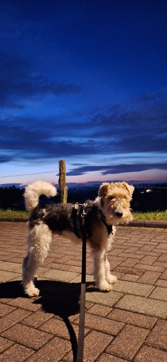 Allen eine frohe und gesegnete Weihnacht !