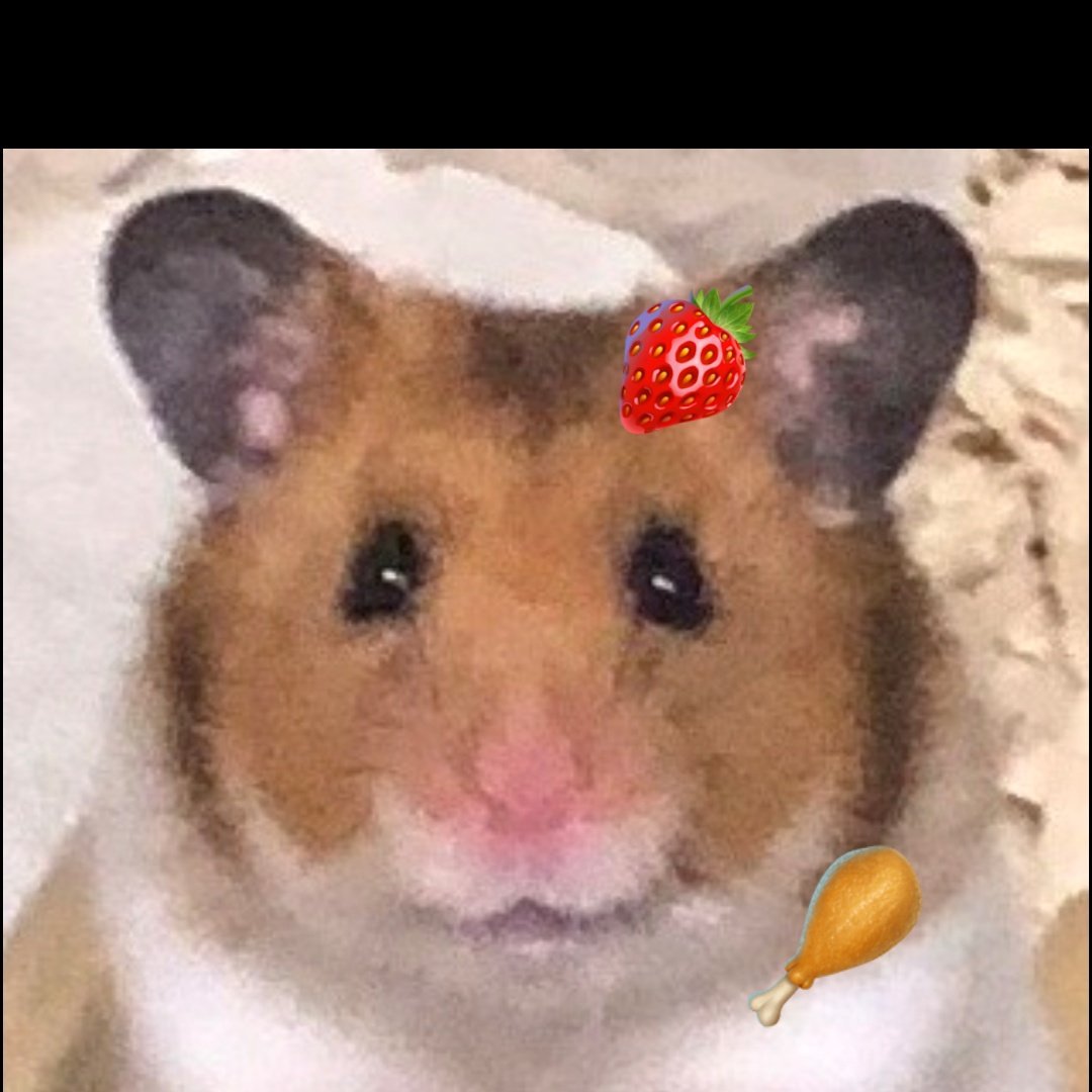 すみっくま♡ページ sg_202512_kabegami_sp_1179_255