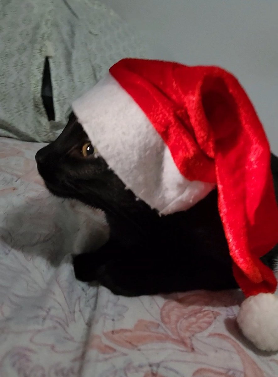 Lucky natalina passando na sua timeline pra desejar um feliz natal