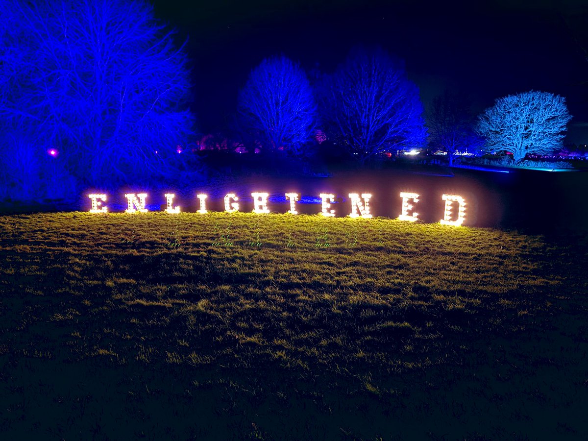 BlueInkRevenge's tweet image. Went on our usual Christmas Eve light stroll and this is one of the only pictures I took because my hands were so bastard cold 🥶