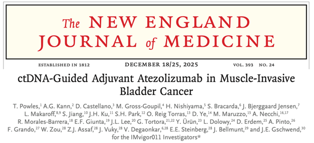 DrChoueiri's tweet image. IT IS THIS TIME OF THE YEAR AGAIN!

            TOP 10 GU clinical trials in 2025!

1/ Practice-changing IMvigor011: In ctDNA+ MIBC post-cystectomy, adjuvant atezo improved DFS (HR 0.64) &amp;amp; OS (HR 0.59) vs placebo. ctDNA- pts spared therapy w/ 2-yr DFS ~88%.
@tompowles1…