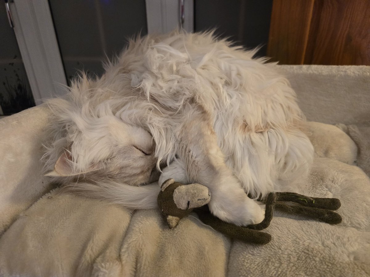 ⚡ Toby Ford ⚡ tweet media