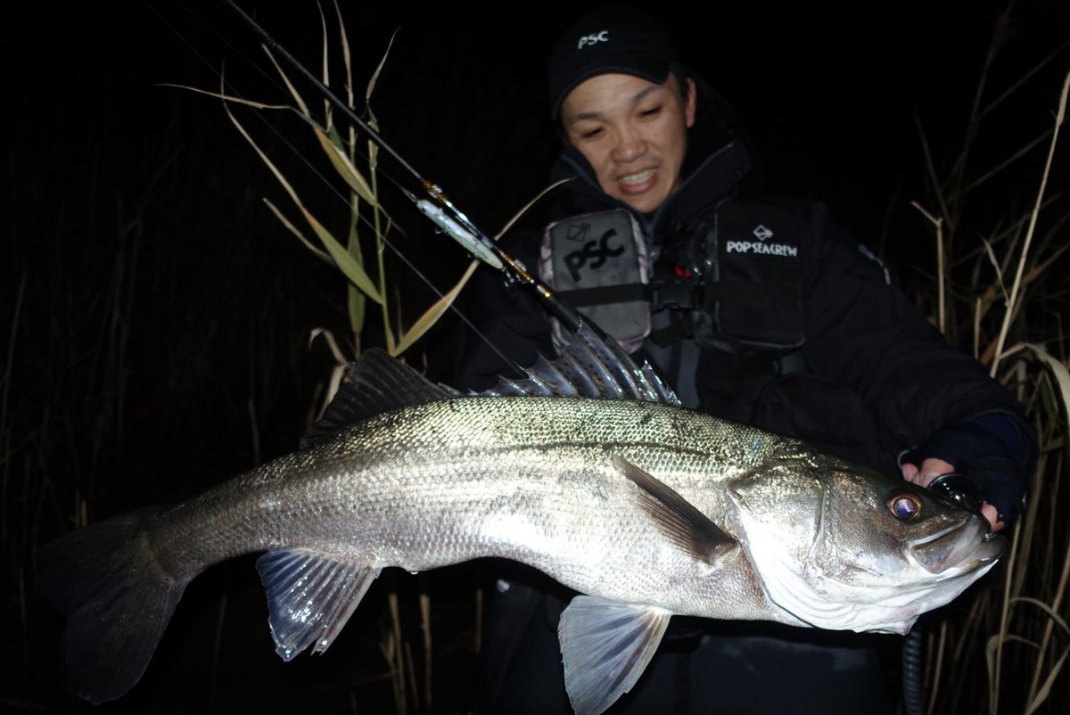 POP SEA CREW (ポップシークルー) (@popseacrew) / Posts / X