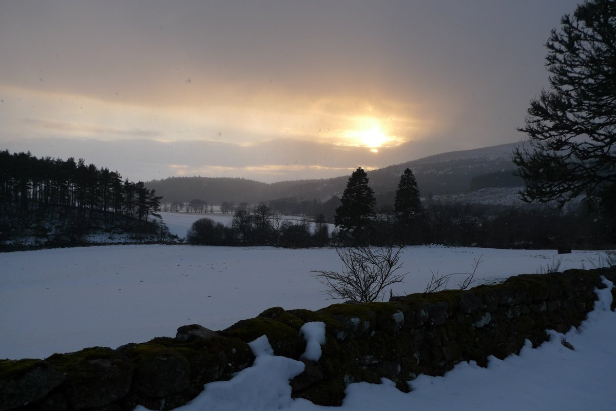 The Cycling Scot tweet media