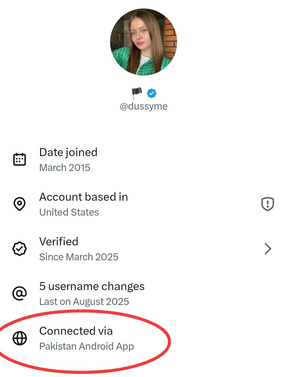 Brick Suit tweet media