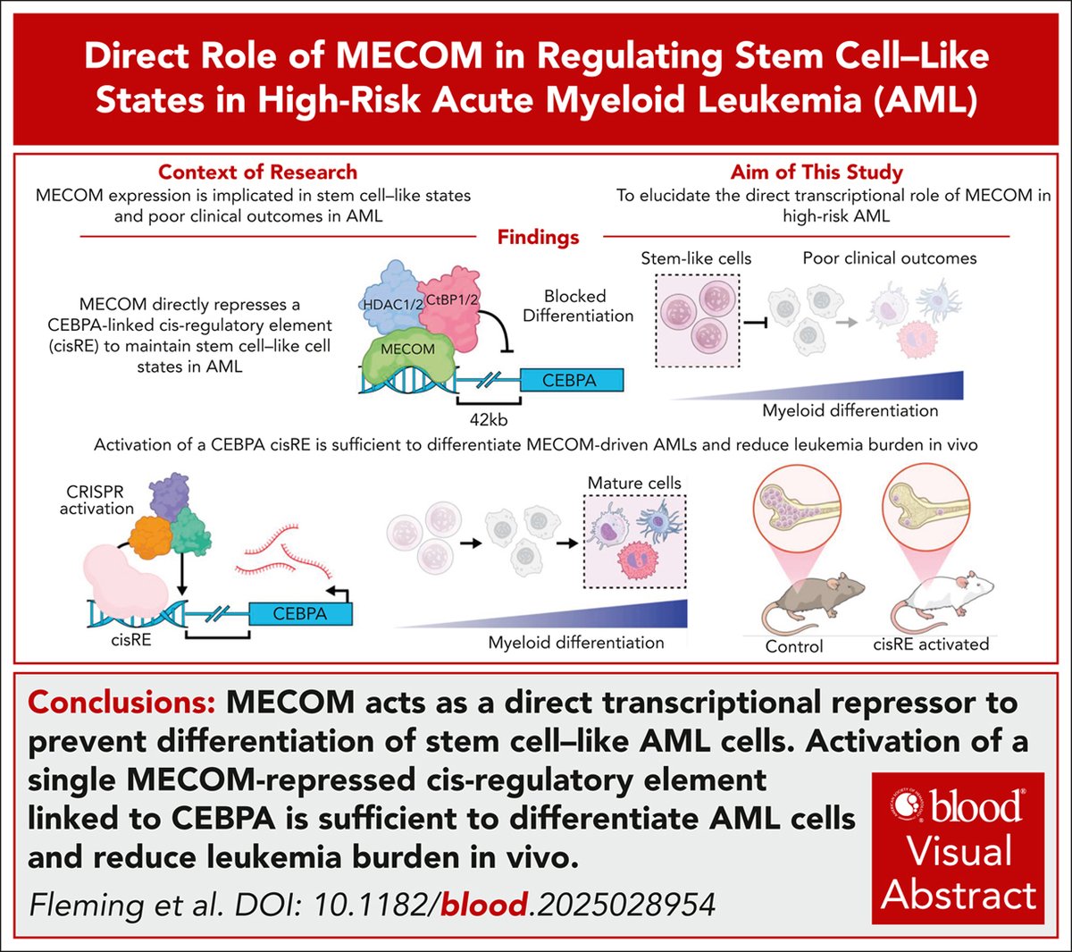 Blood Journals Portfolio tweet media