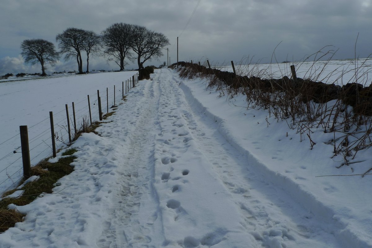 The Cycling Scot tweet media