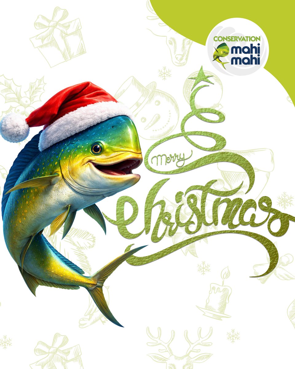 Conservation Mahi Mahi (@ConsMahiMahi) / Posts / X, image size:960x1200