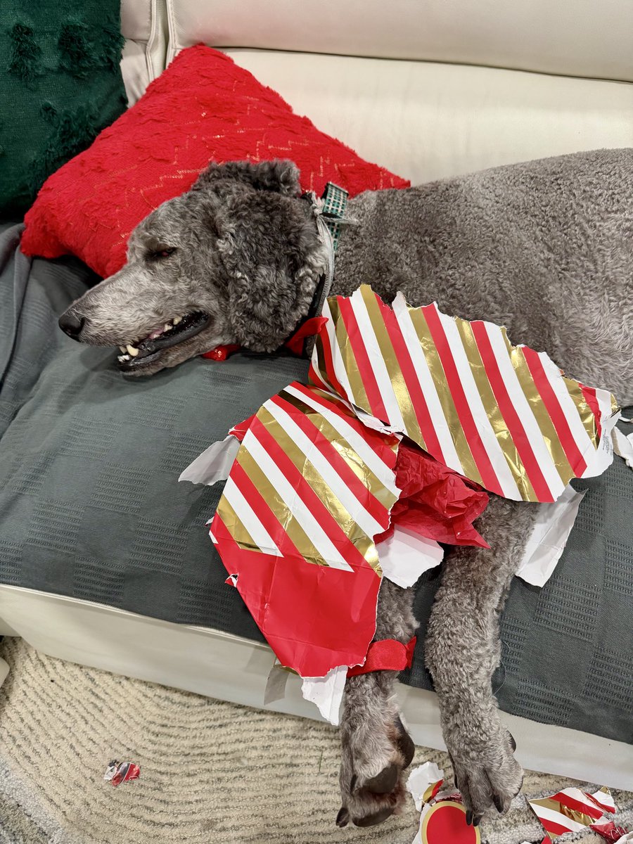 CryptoCondom tweet media