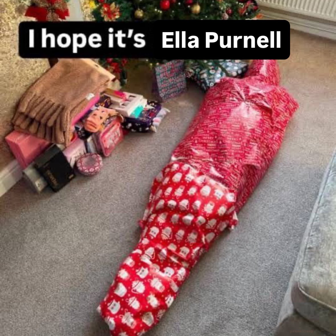 prunellasp's tweet image. oh boy !!