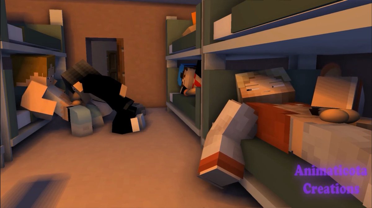 Animaticota tweet media