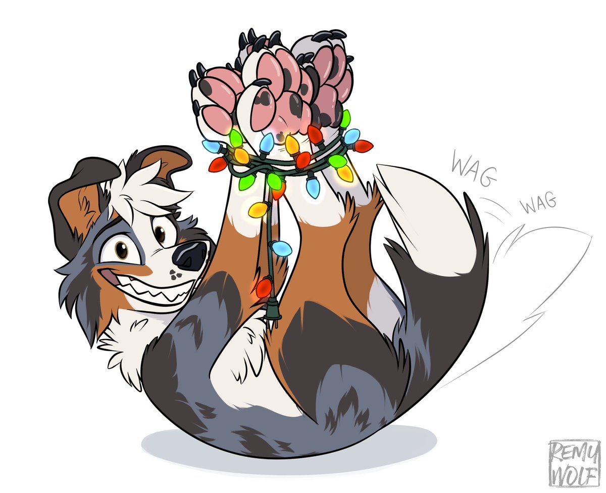 Bink - AD⚡HD Collie tweet media