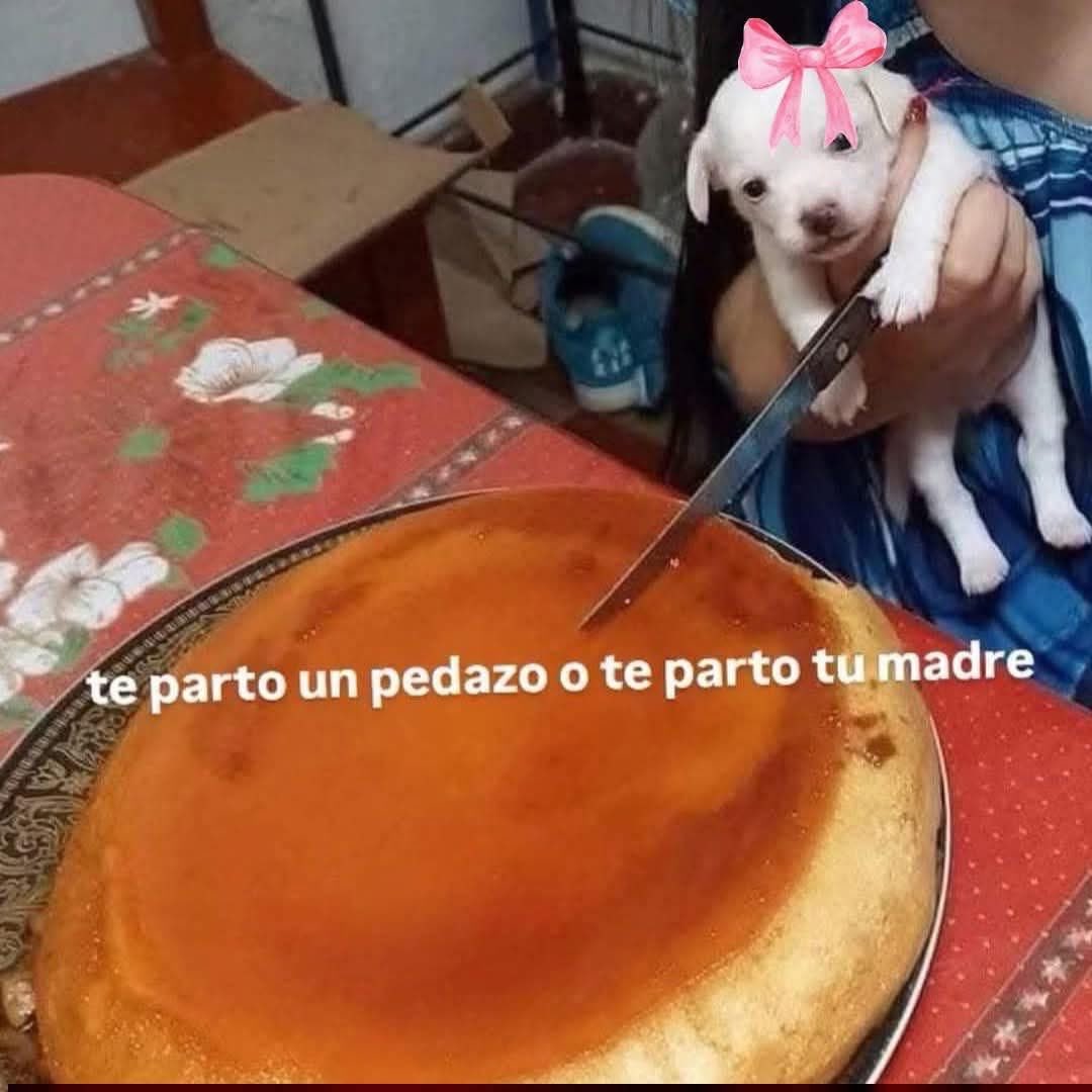 マリアナは誰？ 🌱 (@micchan_marii98) / Posts / X, image size:1080x1080