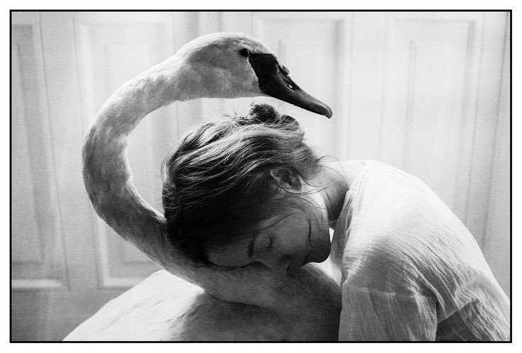 hîv. (@sorrrowfull) on Twitter photo 