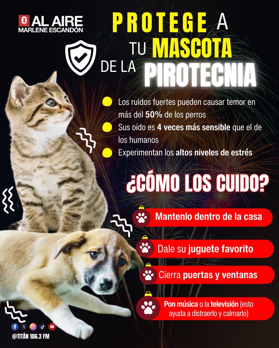 Mar_Escandon's tweet photo. ⚪️ #Entérate | En esta #Nochebuena, cuida a quienes más sienten el ruido 🎄🐾
La pirotecnia puede afectar seriamente a las mascotas. Sigue las recomendaciones y ayúdalas a pasar una noche tranquila y segura.
💙🐕🐈 #MascotasSeguras #NavidadResponsable #Pirotecnia #Alaire #AlaireconMarleneEscandon