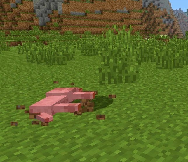 harristic_'s tweet image. I just hit a dog going 70bps on my minecart. Such a shitty xmas eve RN. he ran right up on the rails. I hate this year so much.