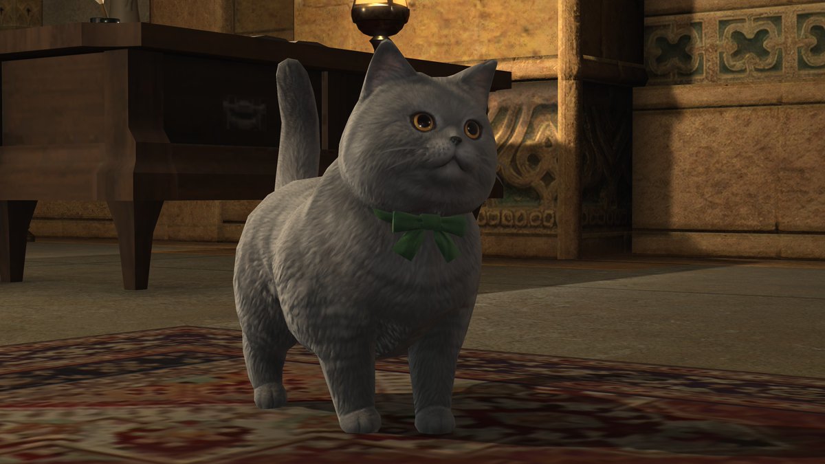 Shuritto_'s tweet image. MDS, QUE COISA PRECIOSA