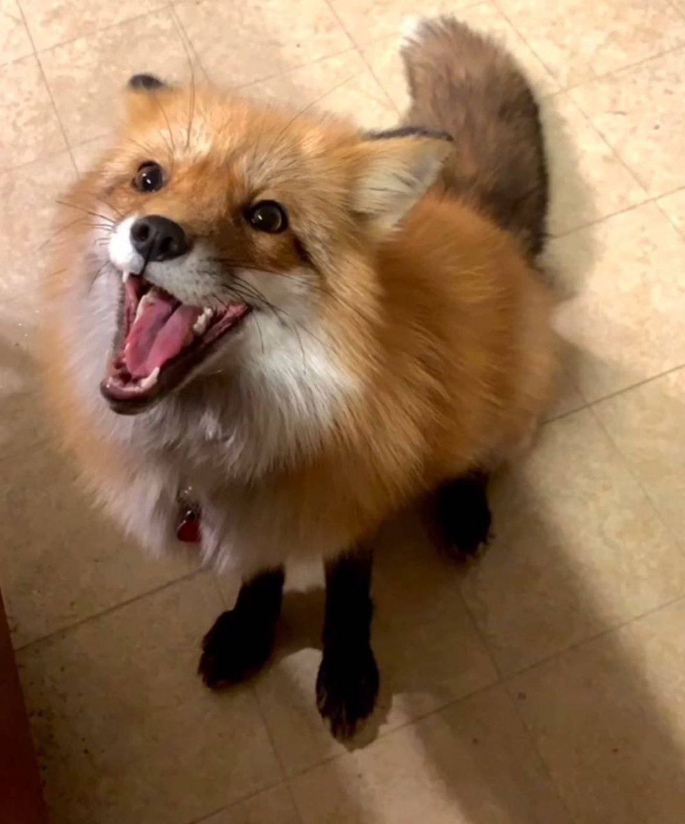 JeffMate tweet media