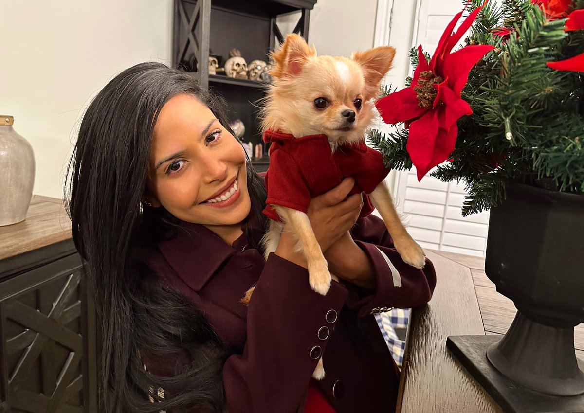 Thugsofstfu's tweet image. Manifesting your timeline and your Christmas with the pollo queen herself @ChicaLive merry early Christmas everyone 🐥🐥❤️