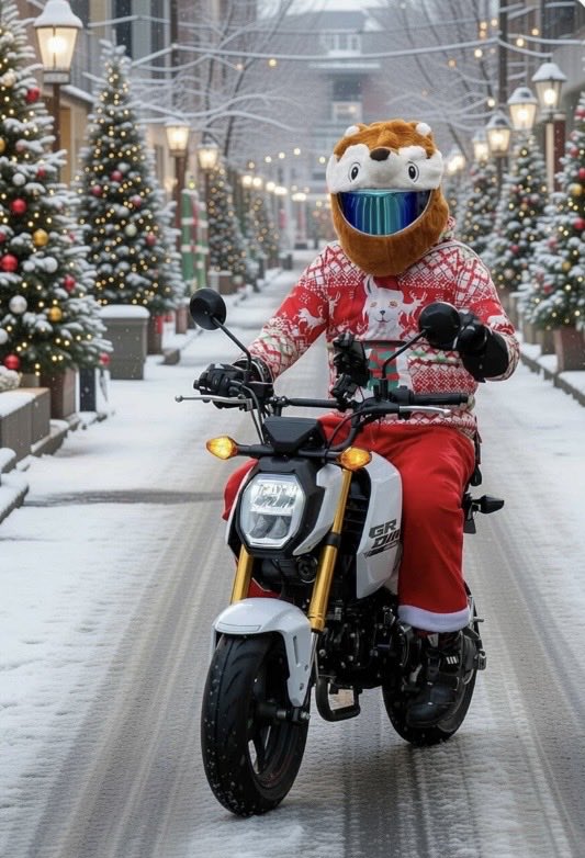 ❤️おたかさん❤️ タカさんメリークリスマス🎄今日も元気で行っていらっしゃいませ