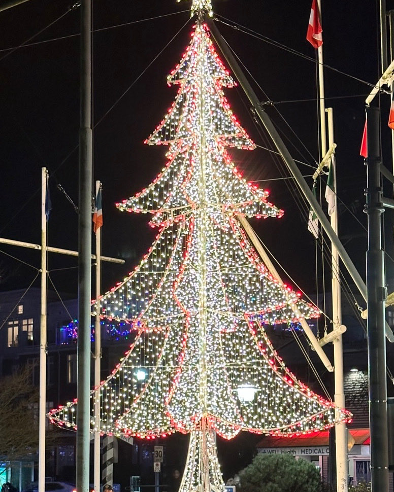 We Wish You and Your Family a Merry Christmas and a Joyful Holiday!