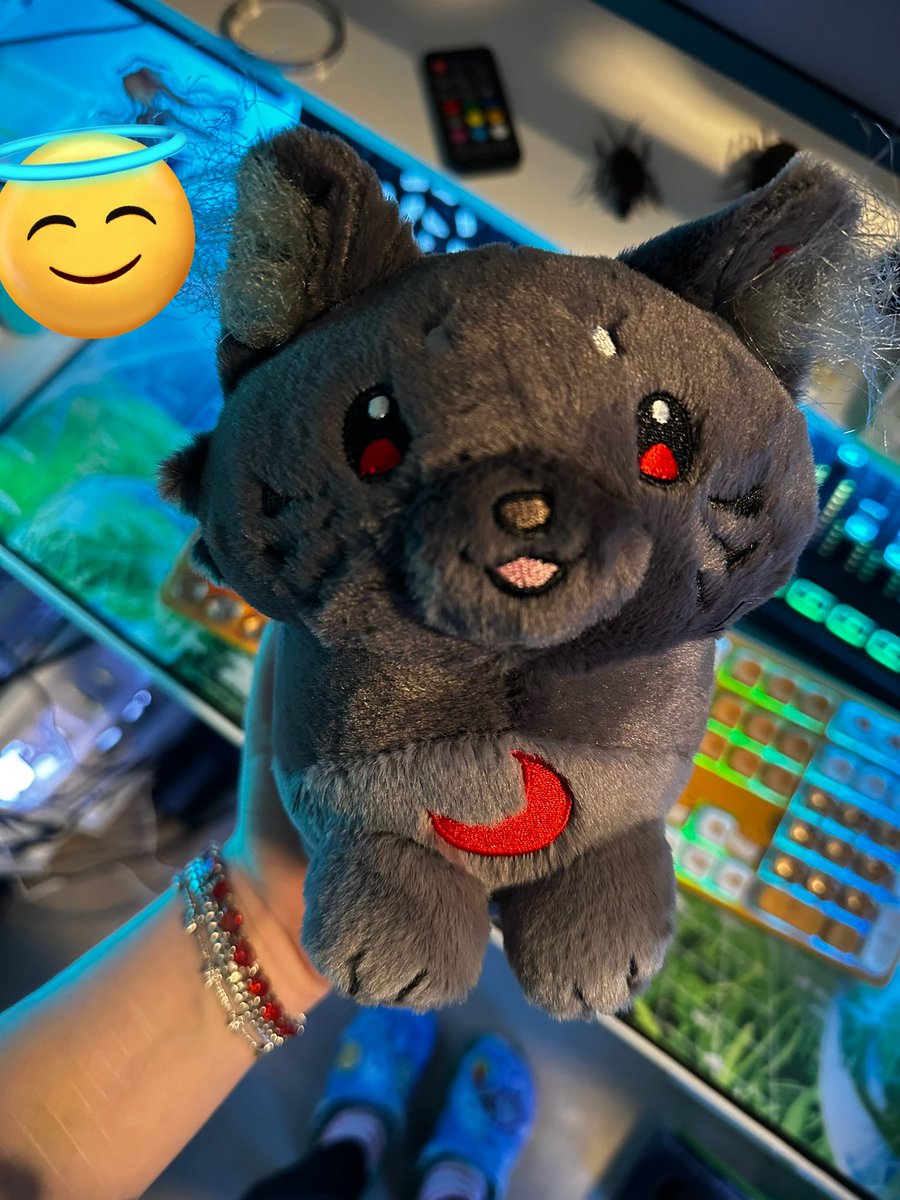 got a cutie delivery today !!