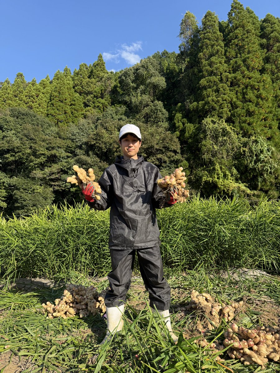 kirk0530's tweet photo. 今日は八代（熊本）を出発し、
福岡空港から上海🇨🇳経由でバンコク🇹🇭へ✈️

八代では生姜掘り🫚にマルシェ出店、妙見祭と、とても充実した滞在になりました。
お世話になった皆さま、ありがとうございました🙏

また来年9月に帰ってきます😊 https://t.co/PcsoP8iGJv