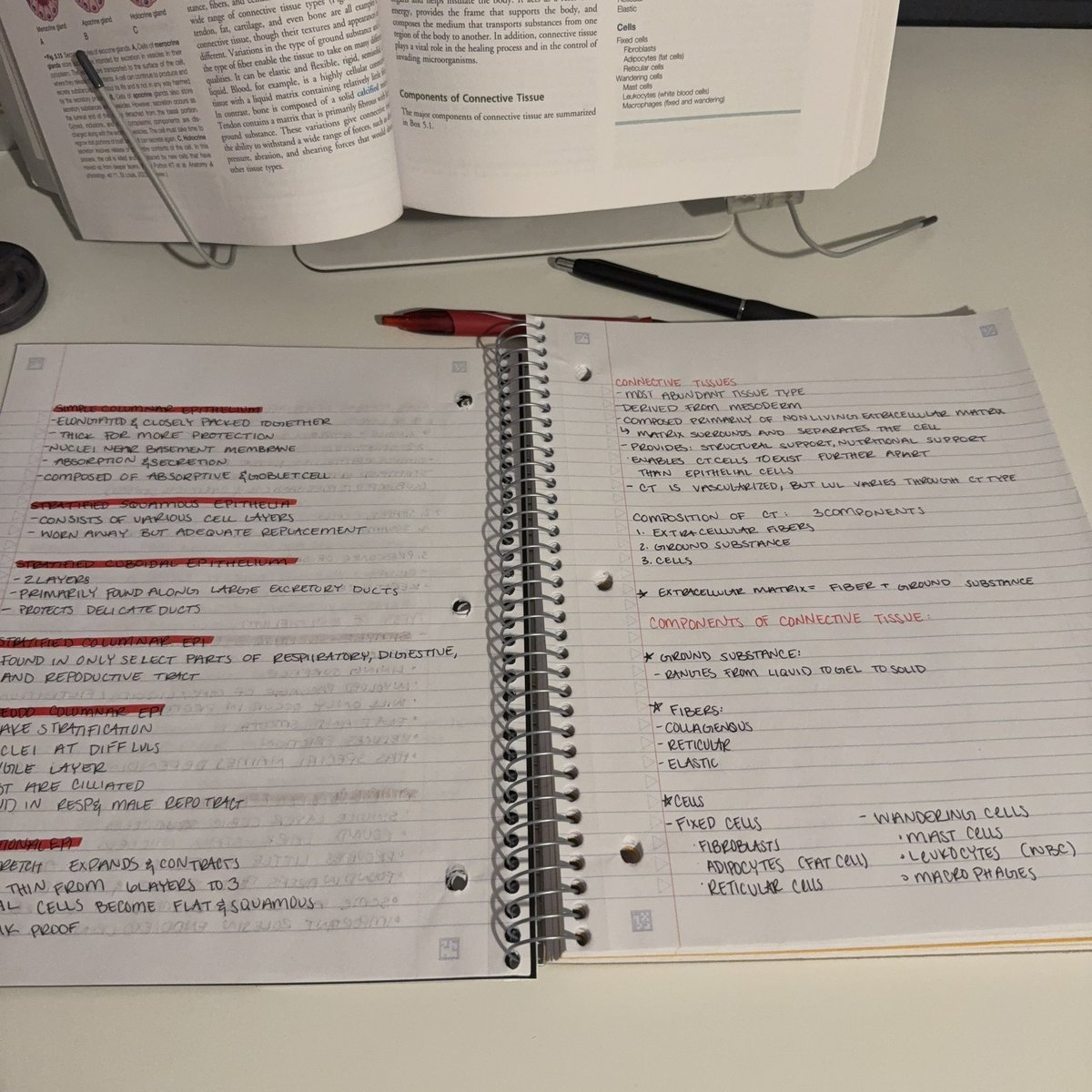 NessiesNotes's tweet image. Hiii #studytwt !!!
Had a Final exam today so I wasnt able to study A&amp;amp;P as much but still got some notes done today! 
#archivetwt #studytwt