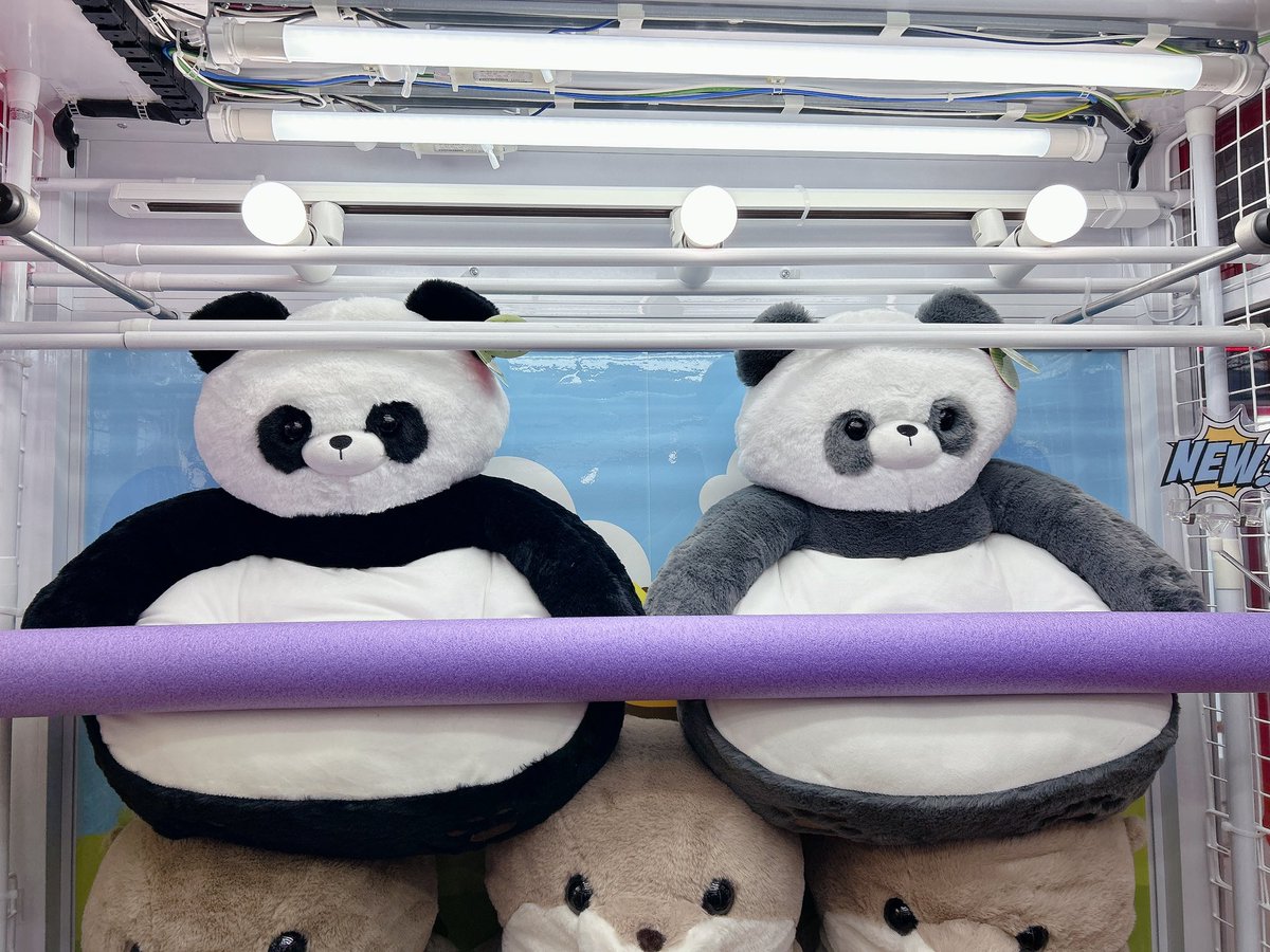 プライズ】 ふわふわパンダさんおすわりクッションが入荷しました